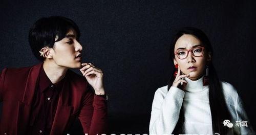 娱乐圈爆料男艺人的小说,揭秘男艺人背后的秘密 第1张 娱乐圈爆料男艺人的小说,揭秘男艺人背后的秘密 第1张