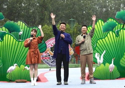 爆料睢宁古墓视频最新,神秘历史宝藏重现世间 第1张 爆料睢宁古墓视频最新,神秘历史宝藏重现世间 第1张